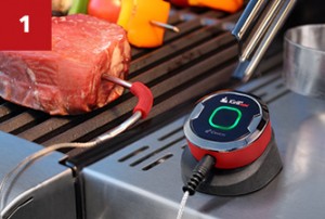 igrill Mini